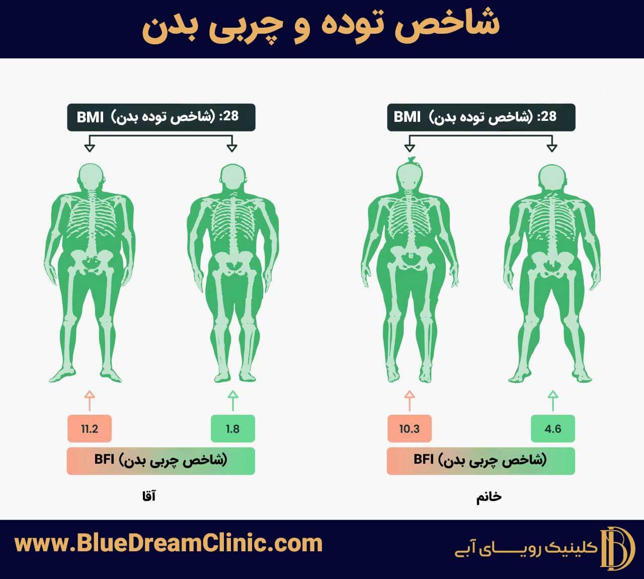 شاخص توده و چربی بدن(BMI)