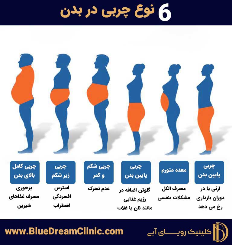 6 نوع چربی موجود در بدن